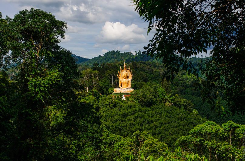 The golden Buddha of Wat Bang Raing rising above the jungle canopy