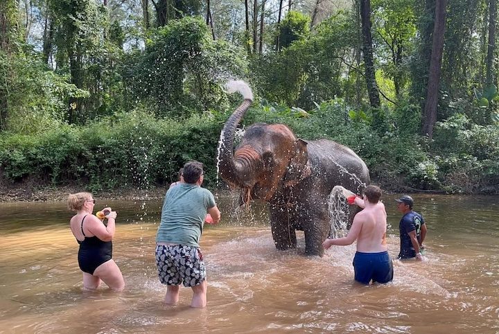Guests splashing and bathing an elephant together in the river