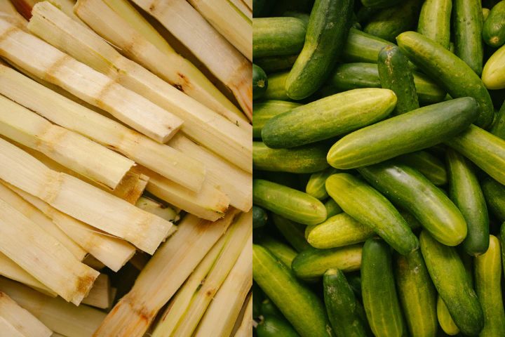 Sugar cane and cucumber prepared for hand-feeding the elephants