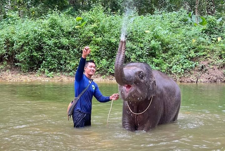 A mahout spraying water over an elephant during the river bathing session