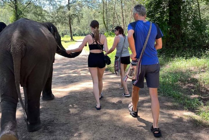 Guests walking alongside an elephant on a shaded path down to the river