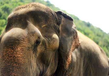 Private and personal Khao Lak tours