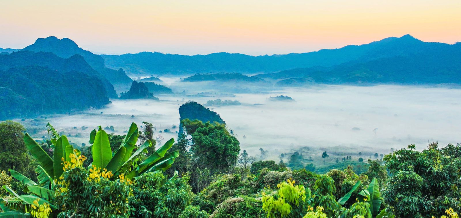 Khao Sok Jungle Day Trip