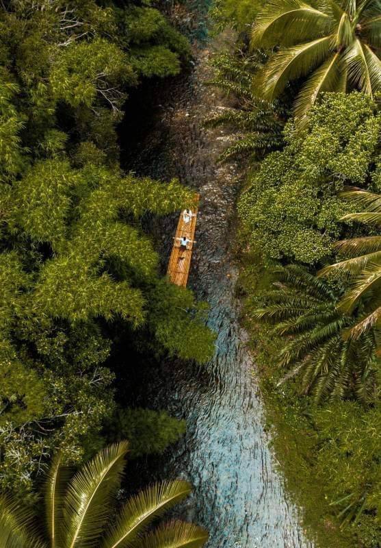 Aerial view of bamboo rafting through the jungle near Khao Lak
