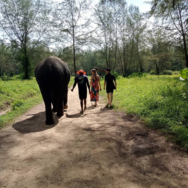 Walking alongside an elephant through the Khao Lak countryside